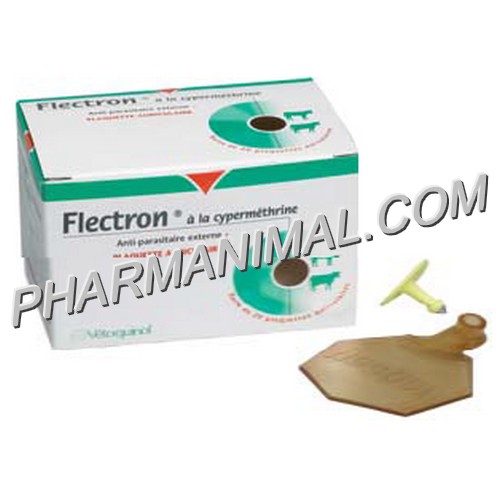 FLECTRON BOUCLE B/20 FLECTRON BOUCLE B/20